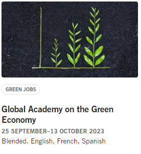 GLOBAL ACADEMY 