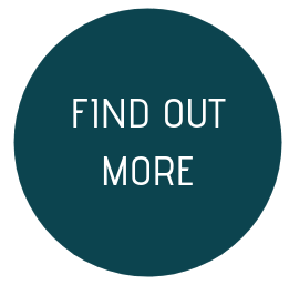 Gender Academy - find out more button