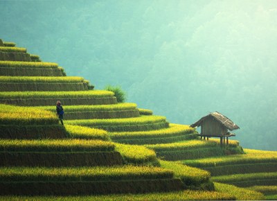 greenjobsacademy