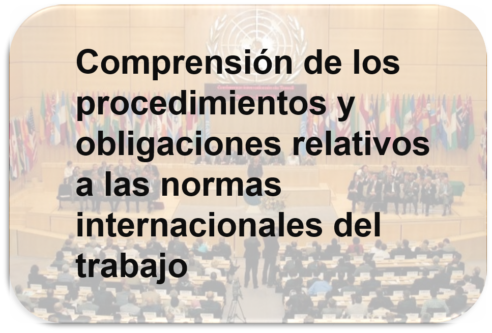 ILSProceduresES